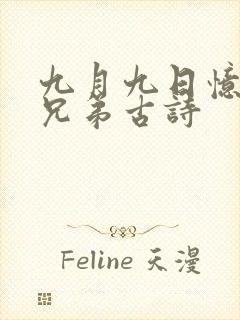 九月九日忆江南兄弟古诗