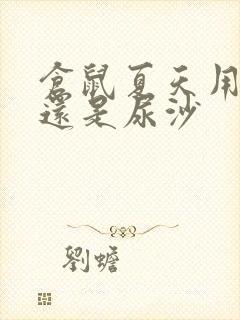 仓鼠夏天用木屑还是尿沙