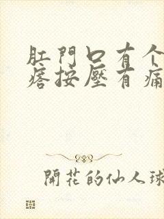 肛门口有个硬疙瘩按压有痛感吃什么药