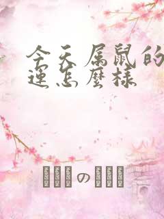 今天属鼠的人财运怎么样