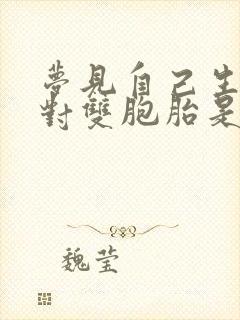 梦见自己生了一对双胞胎是什么预兆