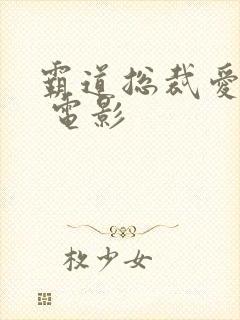 霸道总裁爱上我 电影