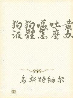 狗狗呕吐黄粘稠液体怎么办