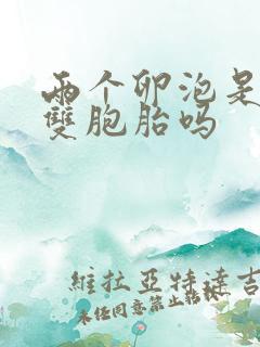 两个卵泡是能怀双胞胎吗