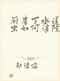 厨房下水道小飞虫如何消除