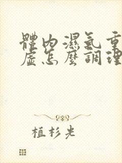 体内湿气重脾胃虚怎么调理