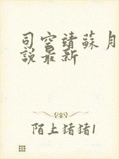 司空靖苏月汐小说最新