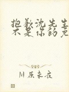 抱歉沈先生孩子不是你的免费