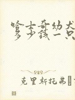 哈士奇幼犬纯种多少钱一只