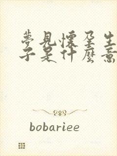 梦见怀孕生男孩子是什么意思