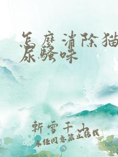 怎么消除猫咪的尿骚味