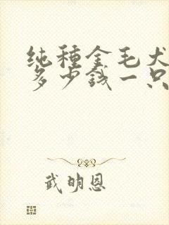 纯种金毛犬价格多少钱一只