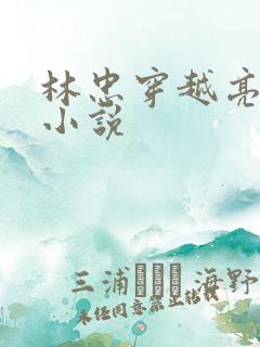 林忠穿越亮剑的小说