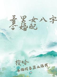 看男女八字合不合婚配