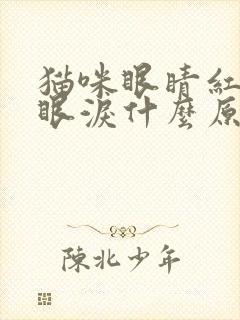 猫咪眼睛红肿流眼泪什么原因