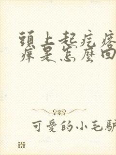 头上起疙瘩而且痒是怎么回事