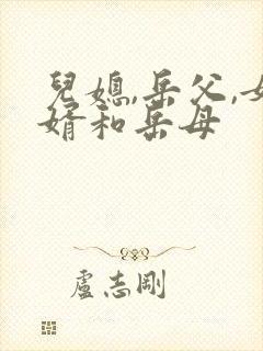 儿媳,岳父,女婿和岳母