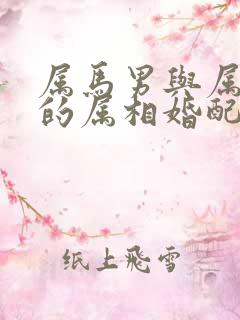 属马男与属龙女的属相婚配