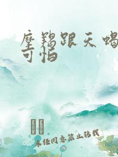 摩羯跟天蝎谁更可怕