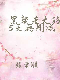 黑帮老大的365天无删减