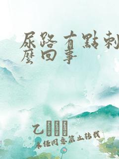 尿路有点刺痛怎么回事