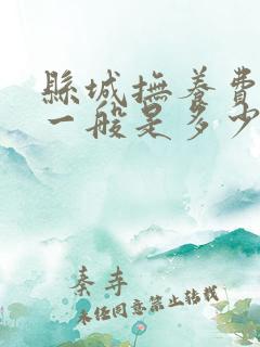 县城抚养费标准一般是多少钱一个月