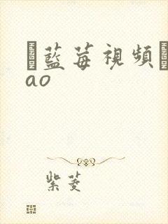 ▇蓝莓视频▇cao