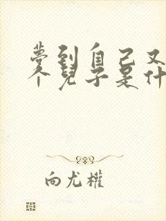 梦到自己又有一个儿子是什么意思