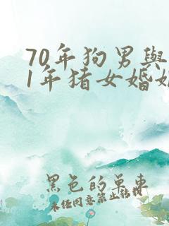 70年狗男与71年猪女婚姻感情