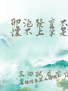 卵泡发育不好是怀不上孕是吗