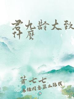 君九龄大致写了什么