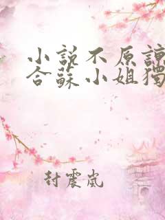 小说不原谅不复合苏小姐独美免费看