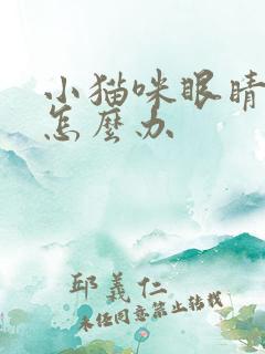 小猫咪眼睛流脓怎么办