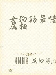 女狗的最佳婚配属相