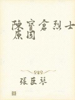 陈宝仓烈士牺牲原因