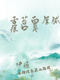 舌苔白厚腻有齿痕口臭