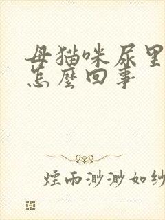 母猫咪尿里有血怎么回事