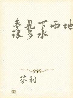 梦见下雨地上有很多水