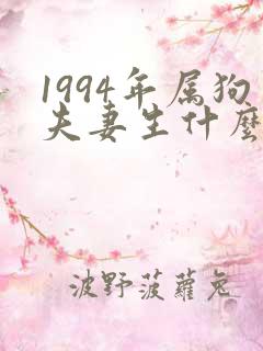 1994年属狗夫妻生什么属相的宝宝好