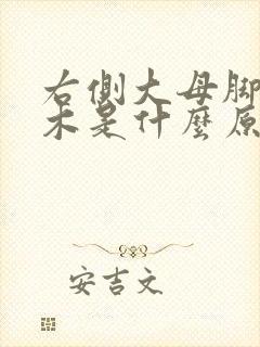 右侧大母脚趾麻木是什么原因