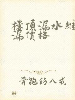 楼顶漏水维修补漏价格