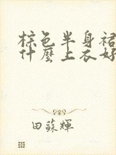 棕色半身裙搭配什么上衣好看