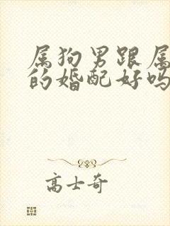 属狗男跟属牛女的婚配好吗