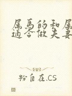 属马的和属蛇的适合做夫妻吗