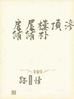 房屋楼顶渗水维修修补