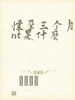 怀孕三个月检查nt是什么