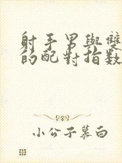 射手男与双子女的配对指数