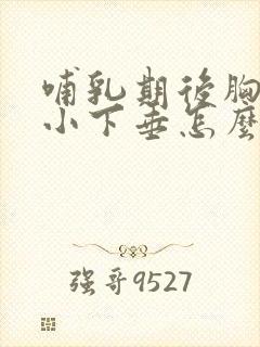 哺乳期后胸部变小下垂怎么办