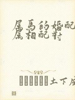 属马的婚配姻缘属相配对