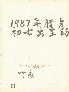 1987年腊月初七出生的命运